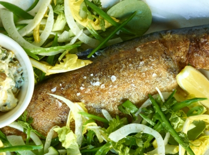 Truite accompagnée de tartare d’oseille et de salade