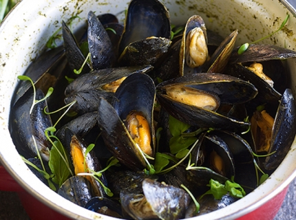 Moules de bouchots au beurre citronné de cresson