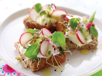 Tartine au fromage blanc, radis, mélange de germes et salade de blé